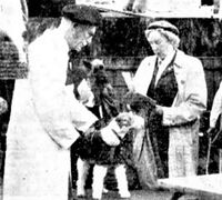 5. Faksimile Aftenposten 1954 Otto Hassel.JPG