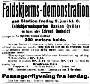 Faldskjærms-demonstration.PNG