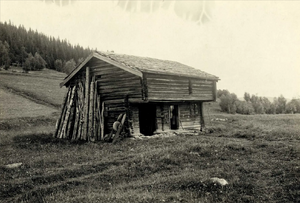 Fallabygningen Hurdal 2.png