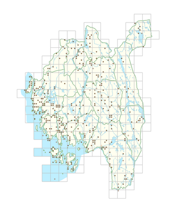 Fallopia convolvulus 1.png