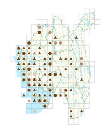 Fallopia dumetorum.png