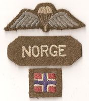 Fallskjermtroppens insignier.