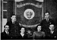 67. Fane Helset og Valle Avhaldslag.jpg