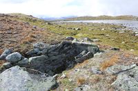 Ved Nedre Mølmsvatnet sør for Lesjaskog sentrum