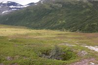 I Svartådalen, Trollheimen