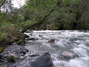 Feioselvi - Oselvi PA051464.JPG