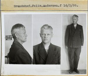 Felix Andersen arrestasjonsbilde.jpg