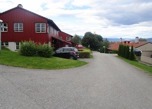 Felleveien Drammen 2015.jpg