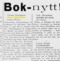 Anmeldelse av debutromanen i Flekkefjords Tidende 13.11.1959