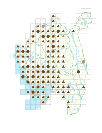 Ficaria verna subsp. verna.png