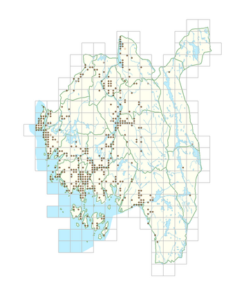 Ficaria verna subsp. verna 1.png