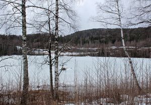 Finnsrudvannet Asker 2016.jpg