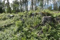 Tuftene etter plassen 2022.