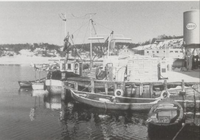 Fiskebrygga ved Son i 1968. Vi ser blant annet brødrene Fredriksens skøyte «Hutholm» og John Gudmundsens snekke «Morild». Foto Ivar Gudmundsen.