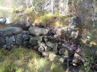 Fisketjennsdammen ved utløpet fra Nedre Fisketjenn