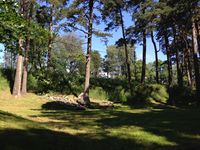 Olavskilden med parken rundt, sørvest for kirken. Foto: Siri Johannessen (2019).