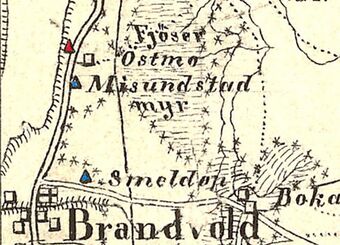 Fjøserteppa 1883.jpg