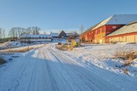 Låvene på Nedre Fjælstad (til høyre) og Fjælstad (i bakgrunnen) vitner om drift i stor stil. Foto: Leif-Harald Ruud (2021)