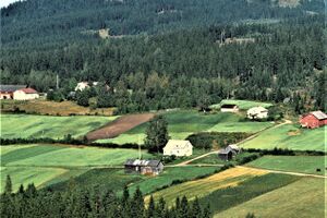 Fjeldteppen Brandval vestside 1962.jpg
