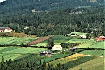 Fjeldteppen Brandval vestside 1962.jpg
