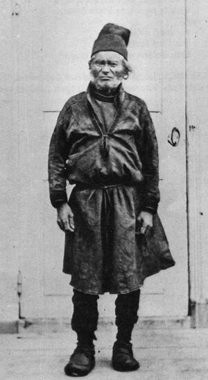 Fjellner svaalhtja.jpg