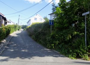 Fjellsbyveien Drammen 2015.jpg