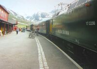 Motiv fra Myrdal stasjon, 1999. Foto: Stig Rune Pedersen