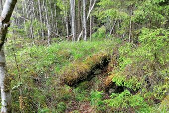 Fløitlien under Sæter nordre Kongsvinger jordkjeller.jpg