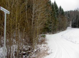 Fløyrudvegen Feiring 2014.jpg