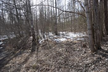 I vinterhalvåret, når det ikke er løv på trærne løvet på trærne ser vi, rett innenfor stranda, tydelig flatene der ishus og isstabler sto. (Foto: Victor Iversen 2021)