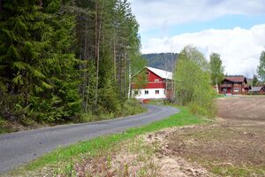 Flesberg, Fossplassvegen-1.jpg