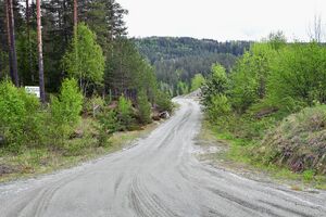 Flesberg, Hauglandet-1.jpg