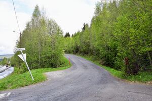 Flesberg, Rustanbakkan-1.jpg