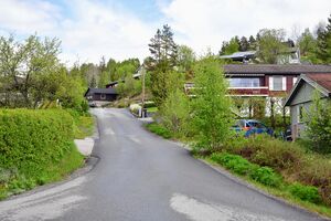 Flesberg, Tømmervegen-1.jpg