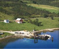 Flesnes fergeleie i Kvæfjord har og en duc d'Albe i 1962. Foto Widerøes Flyveselskap.