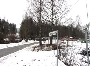 Flesviklia Feiring 2014.jpg