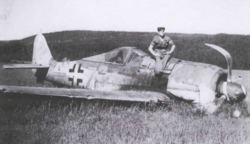 Focke-Wulf flyet under bevoktning av norsk soldat fra hjemmestyrkene.