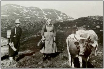 Forklede i Hjartdal.JPG