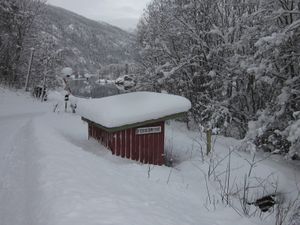 Fossebrekke stoppested Numedalsbanen 2012.jpg