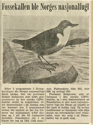 Fossekallen kåret til nasjonalfugl faksimile 1963.jpg