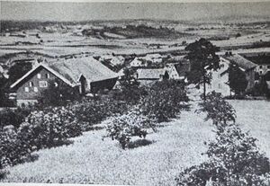 Foto fra frukthagen - Hedenstad.jpg