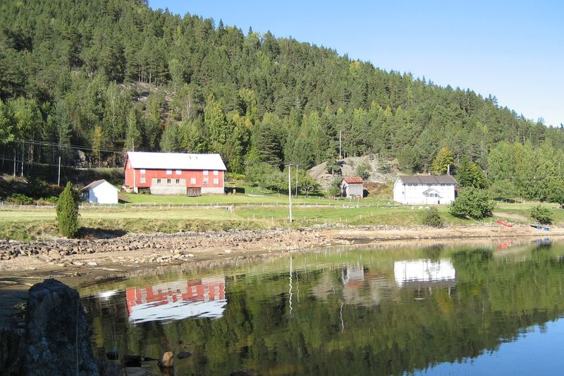Fil:Frøyrak.jpg