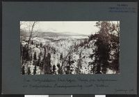 64. Fra Hattfjelddalen Statskoger - no-nb digifoto 20160317 00163 bldsa NGU0402.jpg