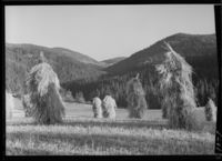 248. Fra Hovin, Telemark - no-nb digifoto 20151012 00140 NB MIT FNR 05268.jpg