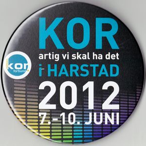 Fra Landssangerstevnet i Harstad 2012 1.jpg