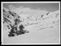 220. Fra Lifjell - no-nb digifoto 20150211 00165 NB MIT FNR 16773 B.jpg