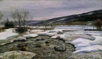 Fra Mesnas utløp.jpg