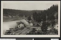 43. Fra Nesset. Bundefjord - no-nb digifoto 20150629 00029 bldsa PK24391.jpg