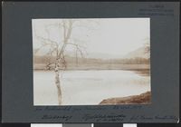 169. Fra Prestevandet paa Tromsøen - no-nb digifoto 20160316 00564 bldsa NGU0025.jpg