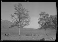 478. Fra Sandviken, Vå ,Rauland - no-nb digifoto 20160223 00001 NB MIT FNR 01091.jpg